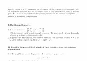 CCINP Maths 2 MP 2010