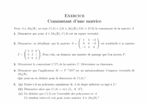 CCINP Maths 2 MP 2011
